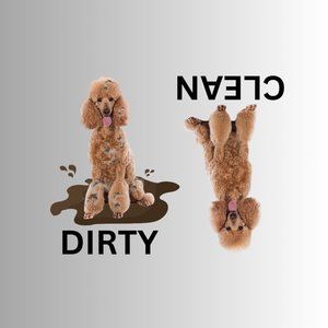 STANDARD POODLE Clean Dirty Dishwasher Flexible Magnet
